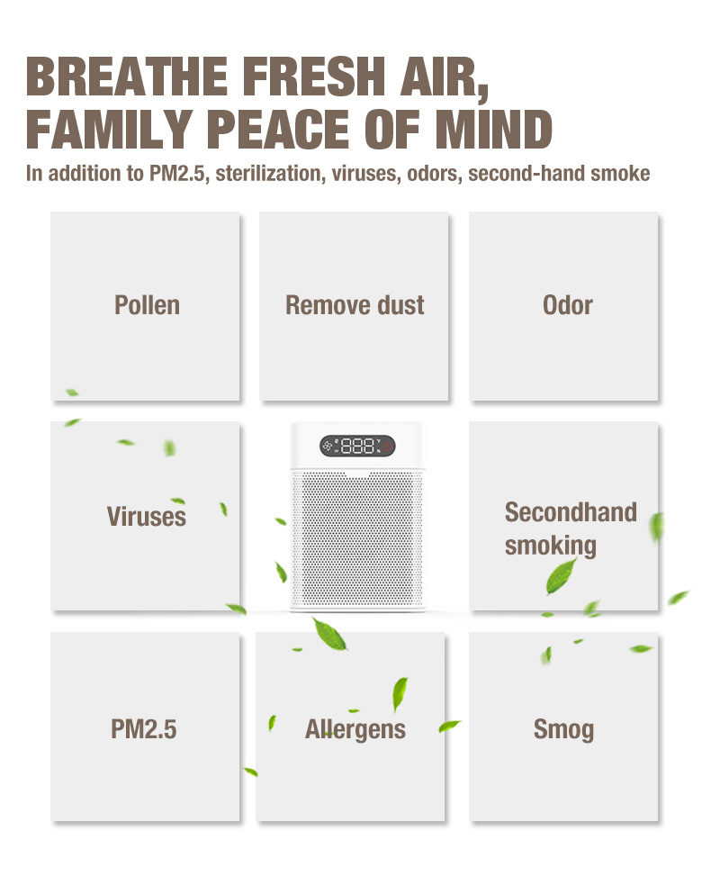 Nh&agrave; cung cấp m&aacute;y lọc kh&ocirc;ng kh&iacute; Olansi A1 (6)